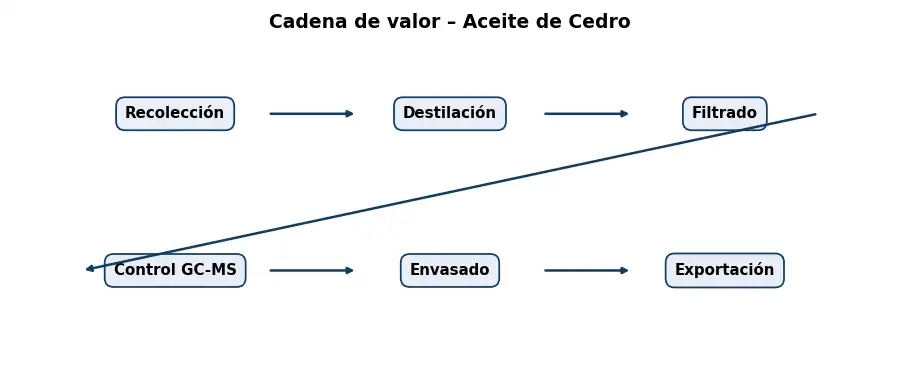 Esquema: cadena de valor en el sector Aceites