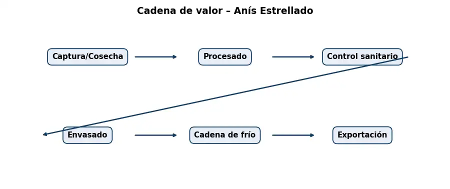 Esquema: cadena de valor en el sector Alimentacion