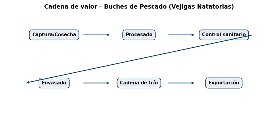 Esquema: cadena de valor en el sector Alimentacion