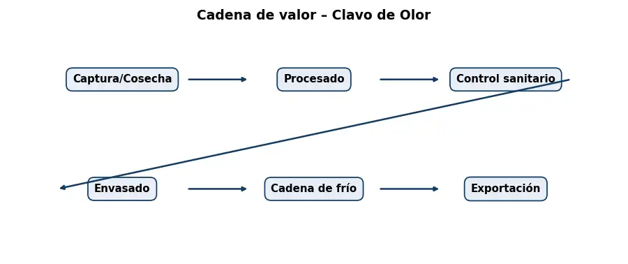 Esquema: cadena de valor en el sector Alimentacion
