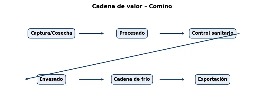 Esquema: cadena de valor en el sector Alimentacion