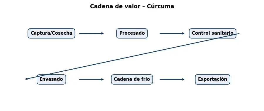 Esquema: cadena de valor en el sector Alimentacion