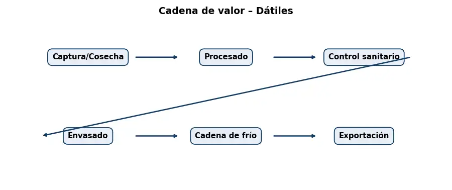 Esquema: cadena de valor en el sector Alimentacion