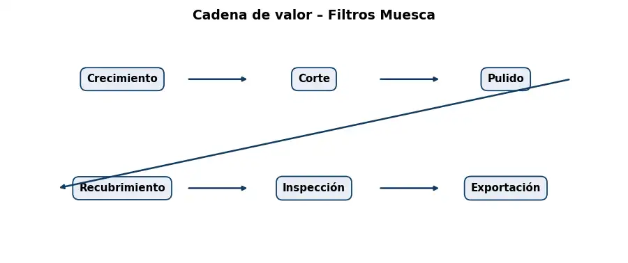 Esquema: cadena de valor en el sector Optica
