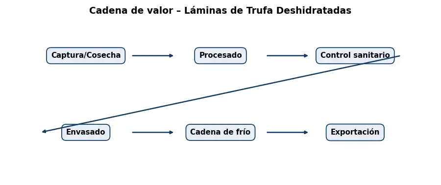 Esquema: cadena de valor en el sector Alimentacion