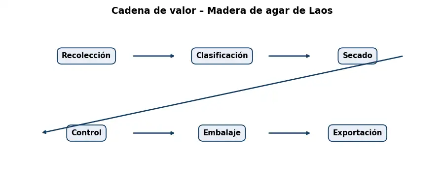 Esquema: cadena de valor en el sector Resinas y Maderas