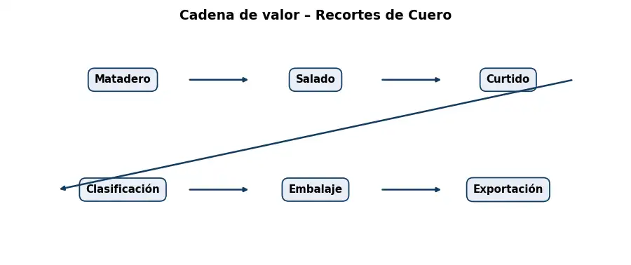 Esquema: cadena de valor en el sector Cueros y Pieles