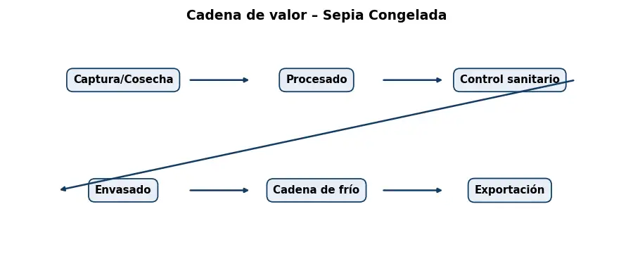 Esquema: cadena de valor en el sector Alimentacion