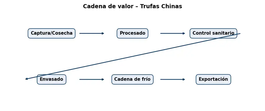 Esquema: cadena de valor en el sector Alimentacion