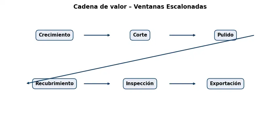 Esquema: cadena de valor en el sector Optica