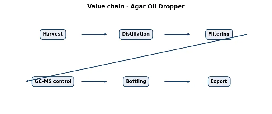 Diagram: value chain in the Oils sector