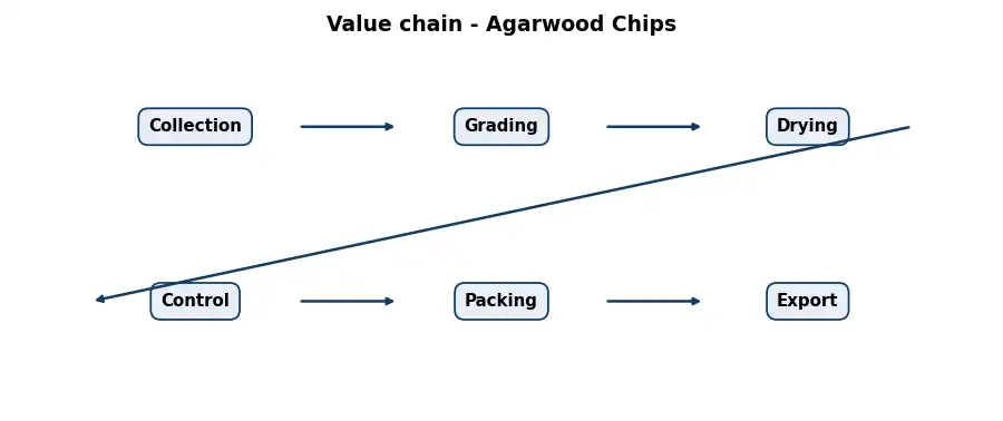 Diagram: value chain in the Resins and Woods sector