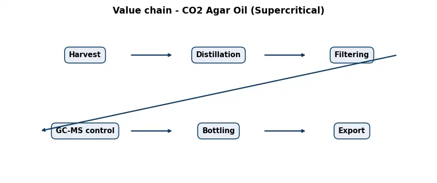 Diagram: value chain in the Oils sector
