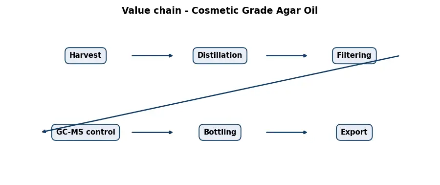 Diagram: value chain in the Oils sector