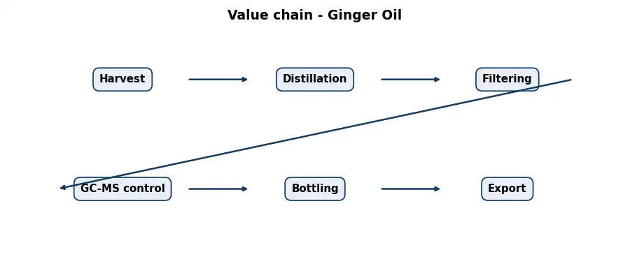 Diagram: value chain in the Oils sector