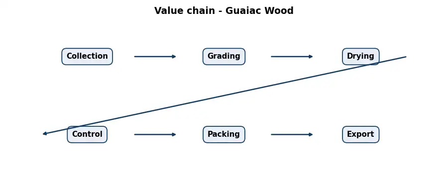 Diagram: value chain in the Resins and Woods sector