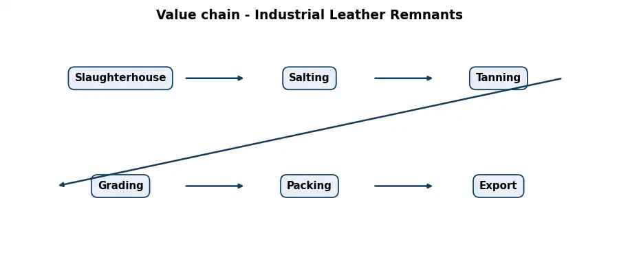 Diagram: value chain in the Leather and Hides sector