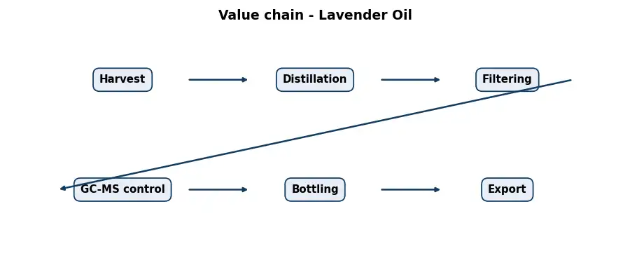 Diagram: value chain in the Oils sector