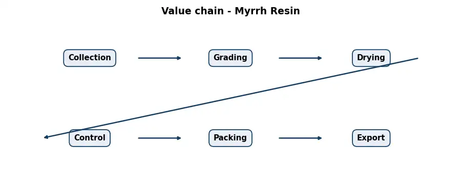 Diagram: value chain in the Resins and Woods sector