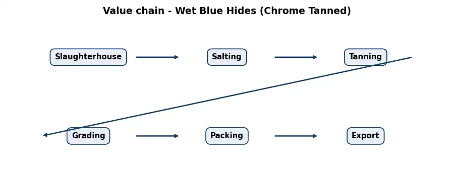 Diagram: value chain in the Leather and Hides sector
