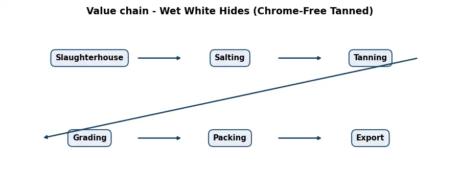Diagram: value chain in the Leather and Hides sector